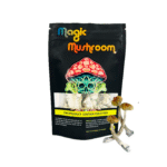 HILLBILLY MUSHROOMS - 3.5g