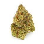 Happy Botanist - Jack Herer -Premium Flower 1/2oz (14g) - Image 2