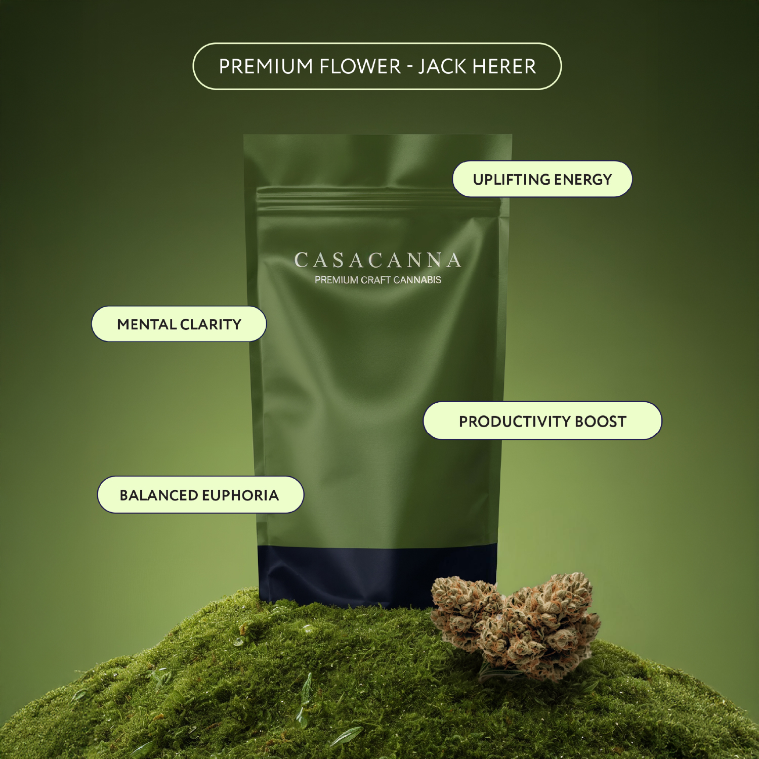 Casacanna - Jack Herer Casacanna – Jack Herer – Premium Flower 1/2oz (14g) - Image 1