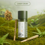 Casacanna – Candy Crush – 2-Pack Premium Cannabis Pre-Rolls (0.8g)