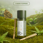 Casacanna – Cherry Popperz – 2-Pack Premium Cannabis Pre-Rolls (0.8g)