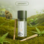 Casacanna – Lemonatti – 2-Pack Premium Cannabis Pre-Rolls (0.8g)