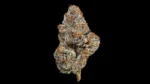 Happy Botanist - Cherry Gas (Hybrid) - Premium Cannabis Flower 3.5g - Image 2