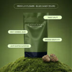 Casacanna - Blueberry Candy Zours – Premium Flower 1/2oz (14g)