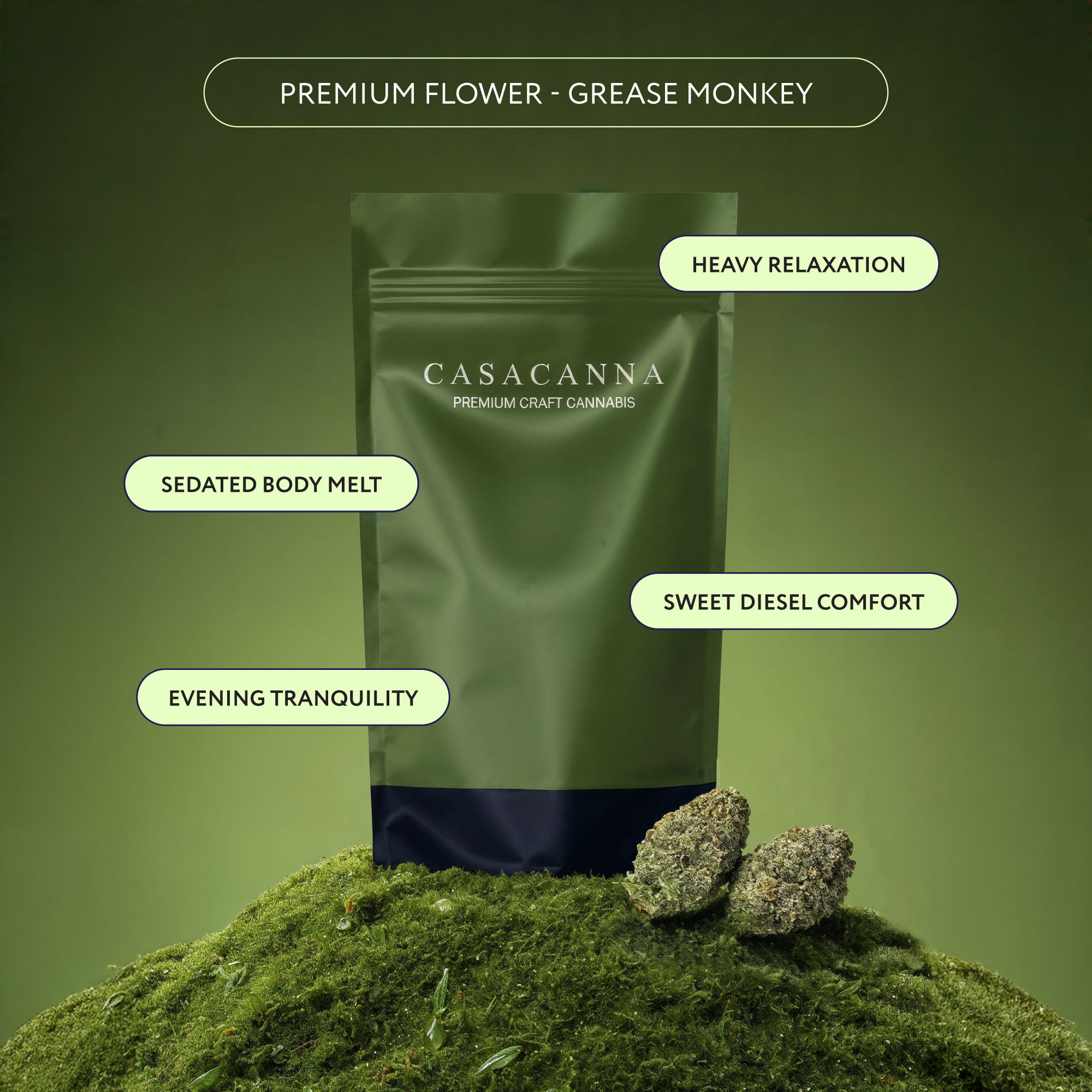Casacanna - Greas-Monkey Casacanna - Grease Monkey – Premium Flower 1/2oz (14g) - Image 1