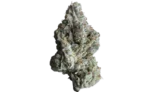 Happy Botanist - Silver Iris (Indica Dominant Hybrid) - Premium Cannabis Flower 3.5g - Image 2