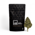 Happy Botanist - Double Runtz (Hybrid) - Premium Flower 1/2oz