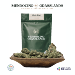 Mendocino Grasslands -Mango Haze - Flower 14g Bag