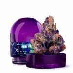 Wizard Trees - New Yorker 3.5g Flower