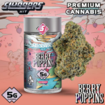 Sluggers - Jarred Flower - 5g - Berry Poppins