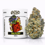 Claybourne Co. -Gas Plant (3.5g) - Gold Cuts Flower