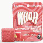 WHOA -Watermelon Lemonade Gummy Bite (100mg)