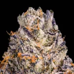 Happy Botanist - Chroma (Indica/Exotic) - Premium Flower 1/8oz (3.5g) - Image 2