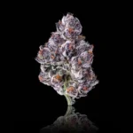 #1 OMG Production - CHERRY POP - Premium Indoor Flower 2oz (56g)