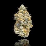 #1 OMG Prod. - DIRTY SPRITE - Premium Indoor Exotic Flower 2oz (56g)