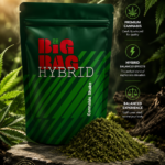 Big Bag- Blueberry Gas - Premium Cannabis Shake 1oz