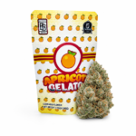 BackPackBoyz - Apricot Gelato - Premium Flower 1/8oz (3.5g) (special 250th Birthday 50% OFF)