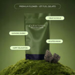 Casacanna - Jet Fuel Gelato - (Wholly Organic) Premium Flower 1/2oz