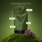 Casacanna – Shady Scotti – Premium Flower 1/2oz (14g)