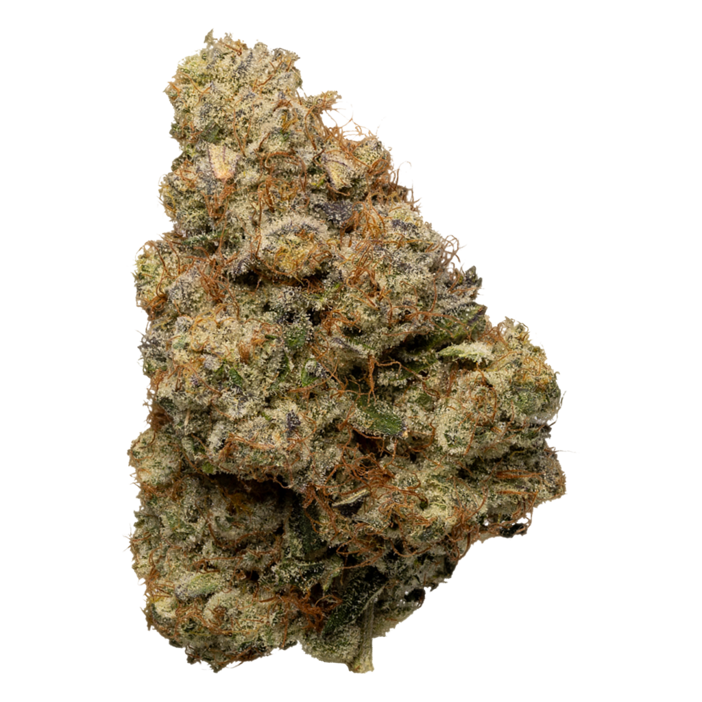 Slurty3_Flower_One-e1705508610312-1024x1024 Jungle Boyz - RS54 - Premium Flower 8oz (HP) - Image 1