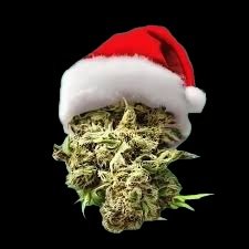 Untitled Smoky Christmaaaaz - Flower 3.5g (OMG Special Blend) - Image 1