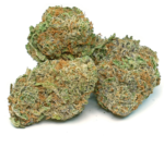 Happy Botanist- Maui Wowie - Premium Flower 1/8oz (3.5g) - Image 2