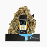 PLUGplay -Pod - Super Lemon Haze 1G - Image 2
