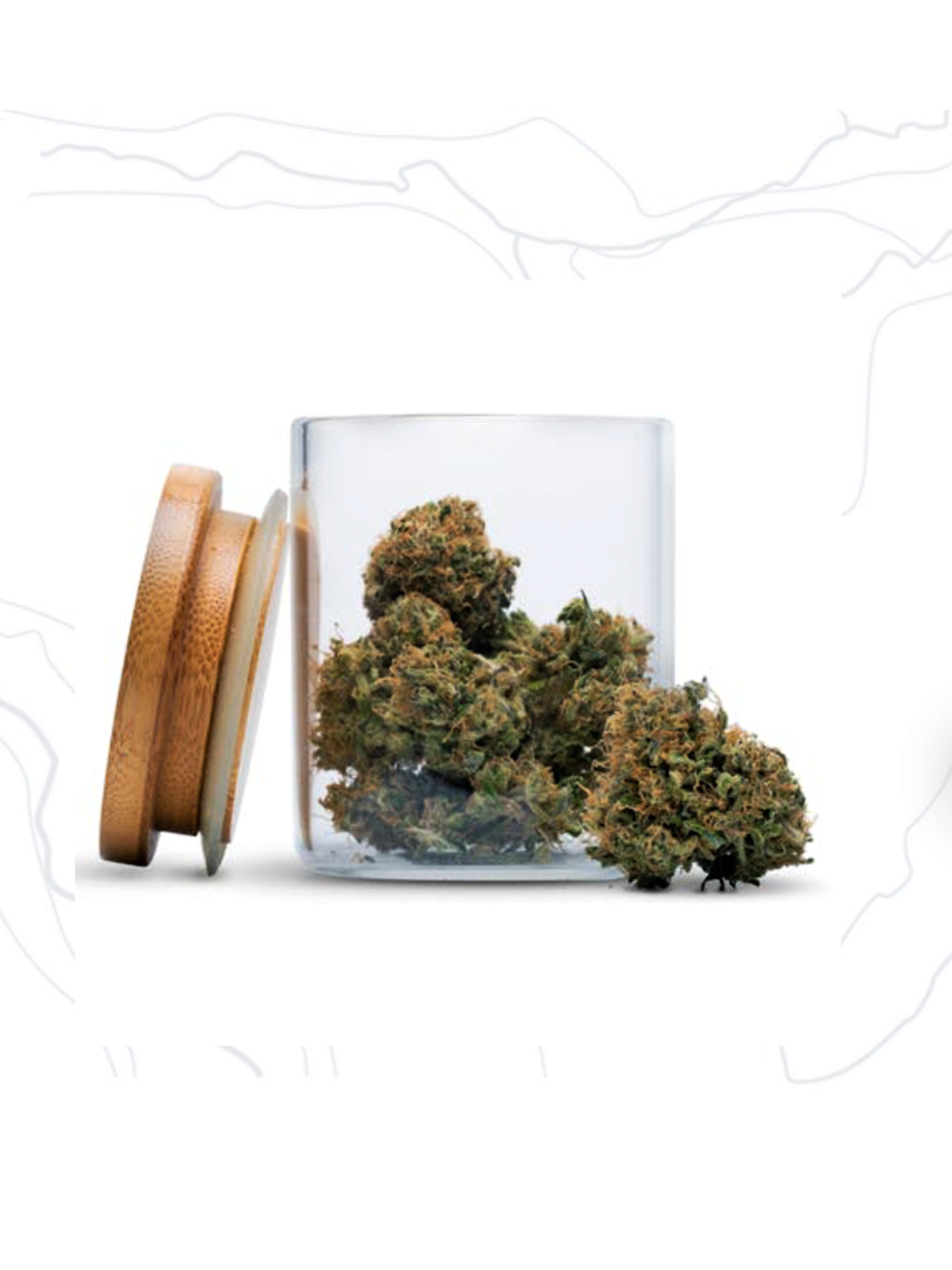 Без имени-1 Gelato - Cake Pop - Top Shelf Premium Flower- 3.5g - Image 1