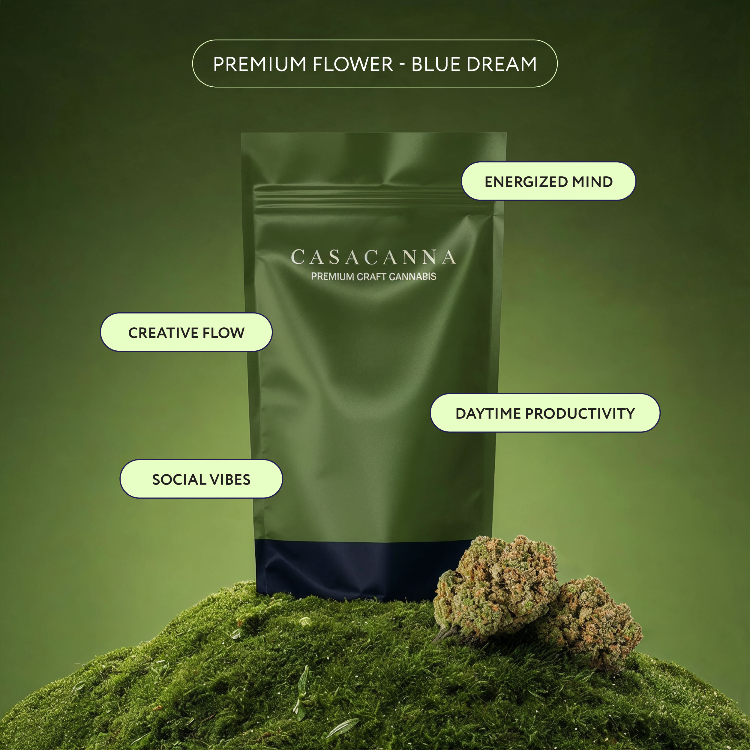 Casacanna - Blue Dream Casacanna – Blue Dream – Premium Flower 1/2oz (14g) - Image 1