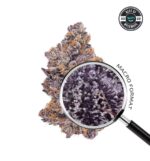 APE - SHERBANGER (Hybrid) — Premium Flower 3.5g - Image 2