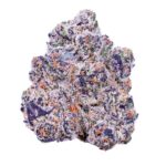 Alien Labs - Kryptochronic - Premium Flower 1/2oz - Image 2