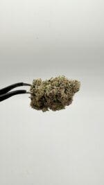 Happy Botanist - Runtz (Hybrid) - Premium Cannabis Flower 1/2oz - Image 2