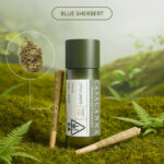 Casacanna – Blue Sherbert – 2-Pack Premium Cannabis Pre-Rolls (0.8g)