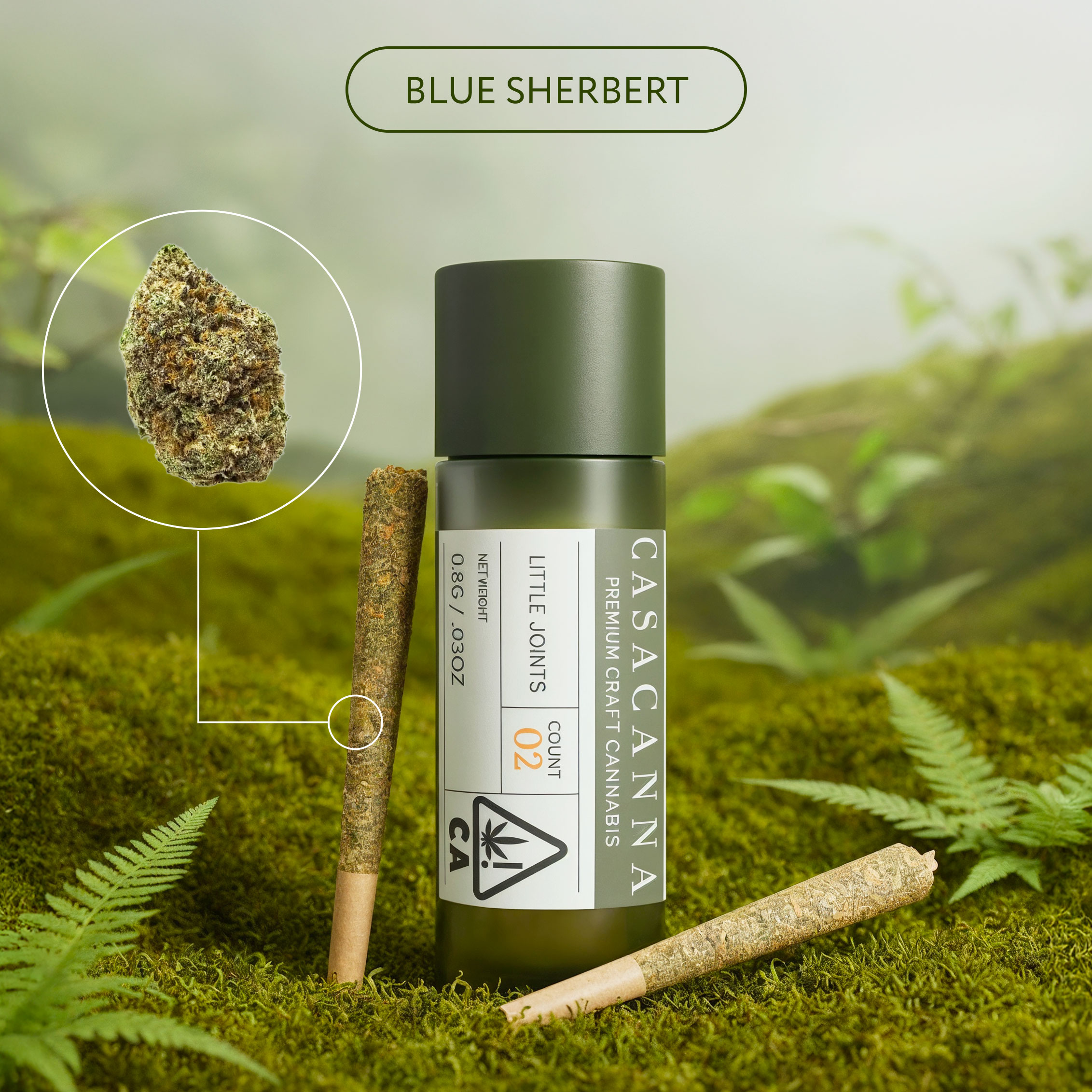 Casacanna 2pck - Blue-Sherbert Casacanna – Blue Sherbert – 2-Pack Premium Cannabis Pre-Rolls (0.8g) - Image 1
