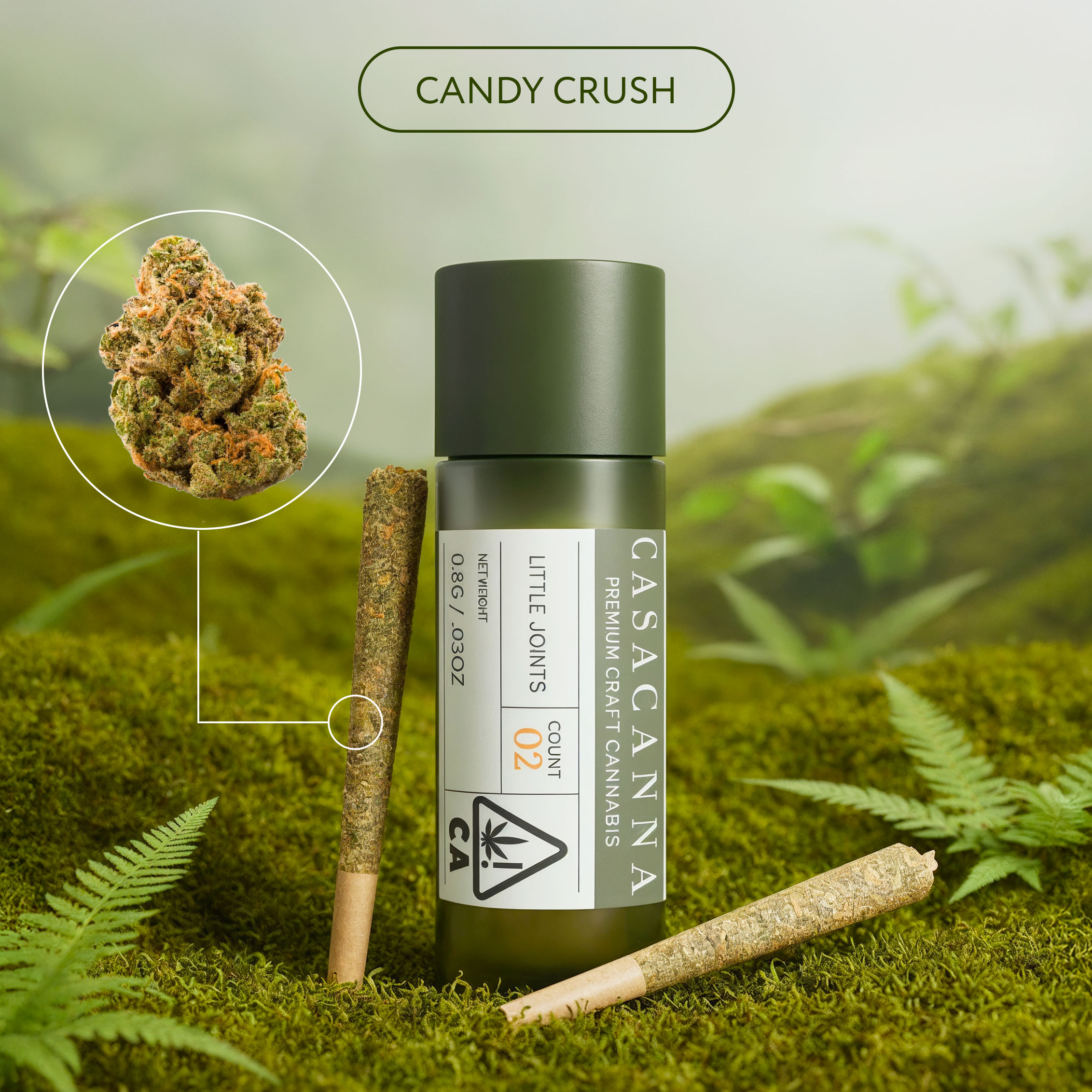 Casacanna 2pck - Candy Crush Casacanna – Candy Crush – 2-Pack Premium Cannabis Pre-Rolls (0.8g) - Image 1