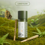 Casacanna – Candy Kush – 2-Pack Premium Cannabis Pre-Rolls (0.8g)
