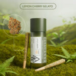 Casacanna – LCG – 2-Pack Premium Cannabis Pre-Rolls (0.8g)