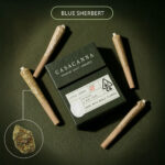 Casacanna – Blue Sherbert – 7-Pack Whole Flower Premium Pre-Rolls (2.8g)