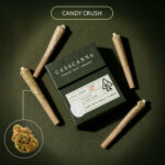 Casacanna – Candy Crush – 7-Pack Whole Flower Premium Pre-Rolls (2.8g)