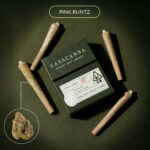 Casacanna – Pink Runtz – 7-Pack Whole Flower Premium Pre- Rolls (2.8g)