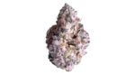 Happy Botanist - Key Lime Jack (Sativa/Exotic) - Premium Cannabis Flower 3.5g - Image 2