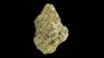 Happy Botanist - Michelin Star (Indica/Hybrid) - Premium Cannabis Flower 1oz - Image 2