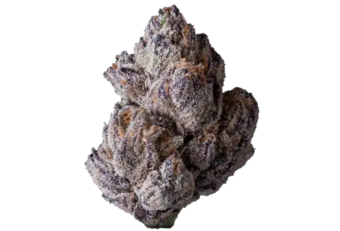 Copy-of-Lipsmackerz-4_6-web.png-700x476 #1 OMG Production - LIPSMACKERZ - Premium Indoor Exotic Flower 1/2lb - Image 1