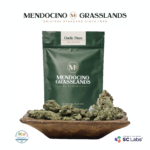 Mendocino Grasslands - Midtown Haze (Sativa) - Premium Flower (Smalls) 1oz (28g)