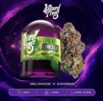 *Wizard Trees  | 3.5g Flower - LimeLight