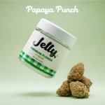Jelly Papaya Punch – Premium Flower 1/8oz (3.5g)