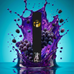 Platinum Vape - 1ml P1 Live Resin All-In-One - Legacy Purp - Indica