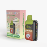 GEEK THCX  Strawberry Watermelon - All in One Vape 1g
